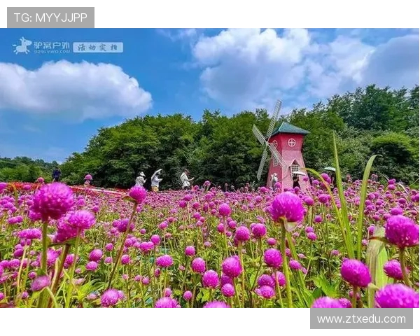 花海王者：探索盛大花海背后的传奇故事与无尽魅力