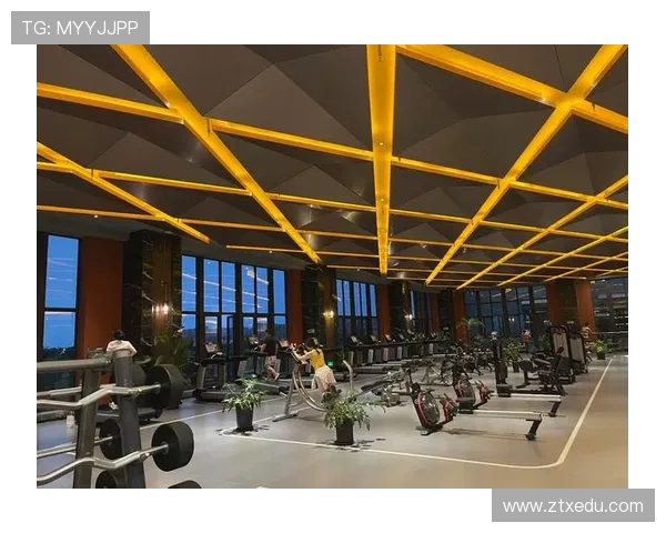 科学塑形与力量重塑之道打造健康体魄与高效健身生活指南