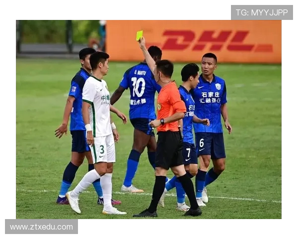 沧州雄狮传承百年技艺弘扬中华文化精神与艺术魅力