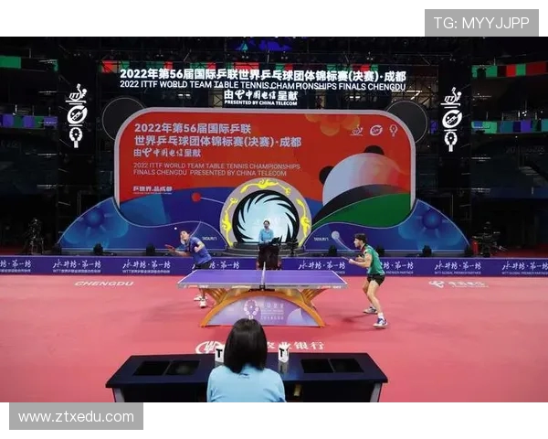 杭州乒乓球队的崛起与发展探讨聚焦力量与技术的完美结合