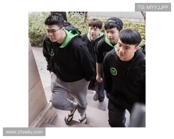 Virtus.pro绝地求生战队崛起之路与电竞荣耀的全面解析