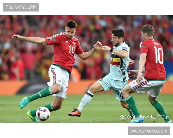 世界杯激战正酣各国豪强争锋夺冠梦想各自远航足球盛宴点燃全球激情